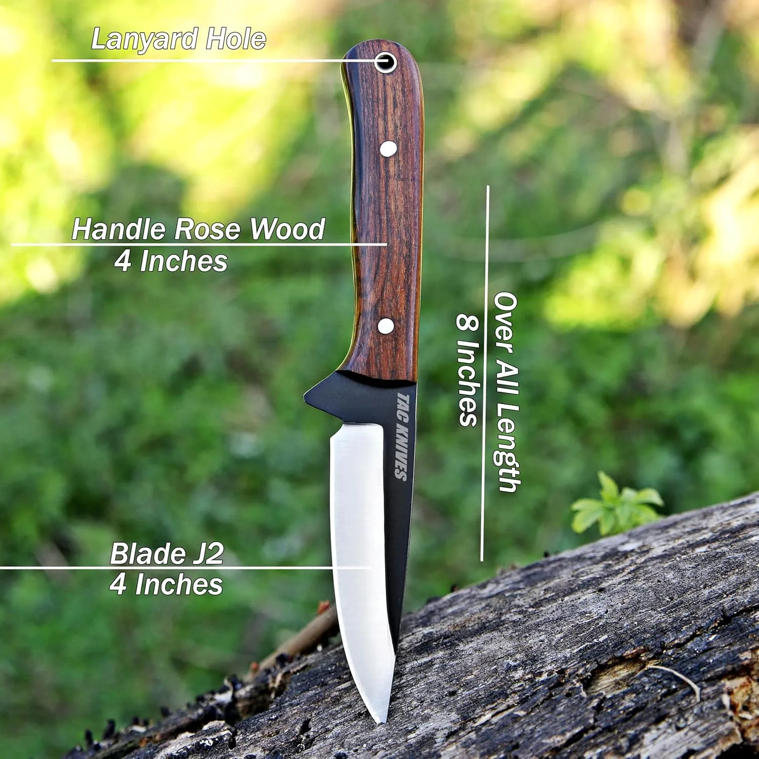 7" Fixed Blade EDC Knife with Sheath - Damascus Steel Hunting Knife - Full Tang - Bone Handle - Pancake Carry Leather Sheath Snug Fit (WOOD 302)