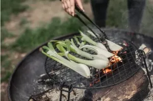 Barebones Living Cowboy Grill Charcoal Tray and Circular Fire Pit Grill Grate