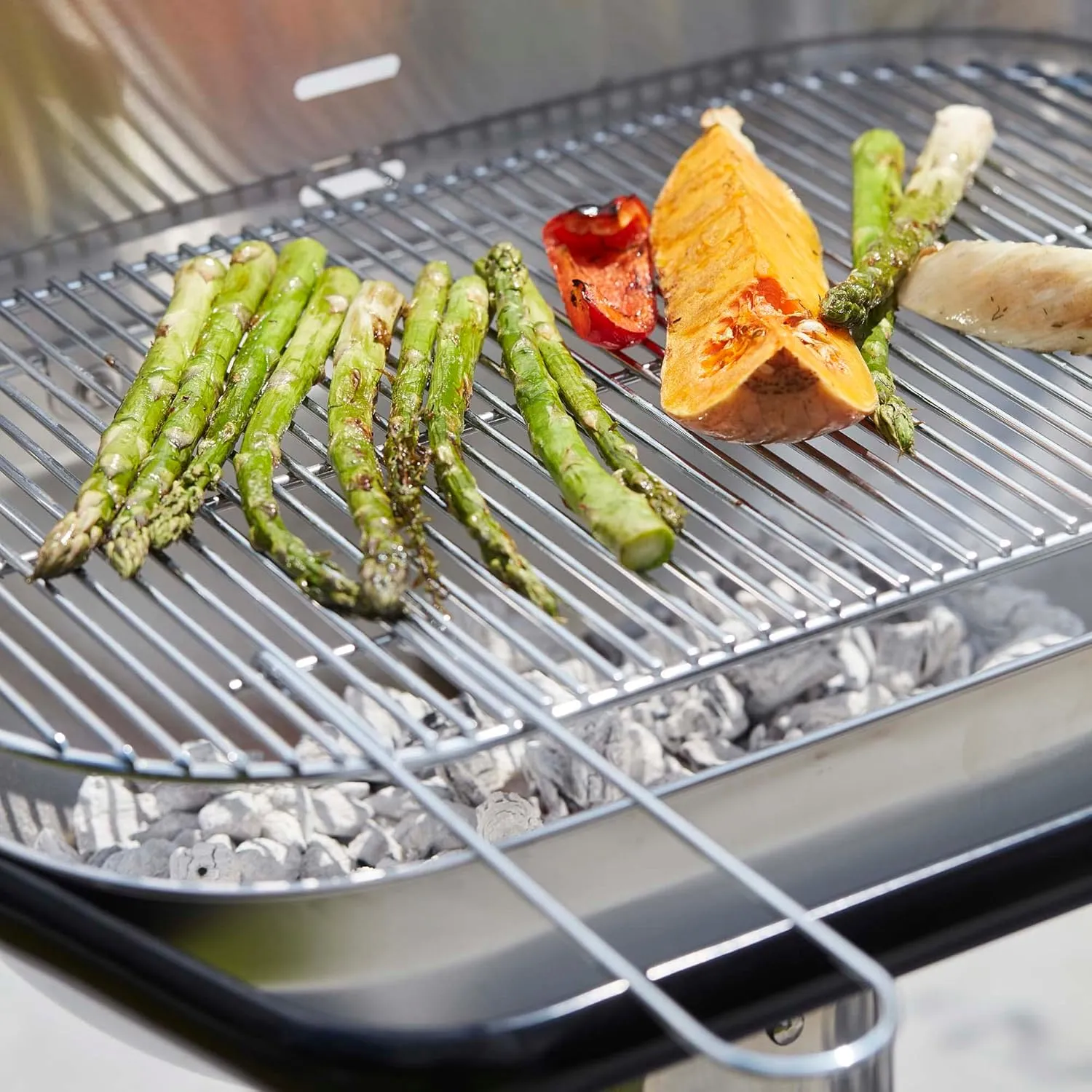 BBQ grill, grill for charcoal and Loewy 55 barbecues, barbecue accessoryRectangular cooking grill, 55 x 33.5 cm
