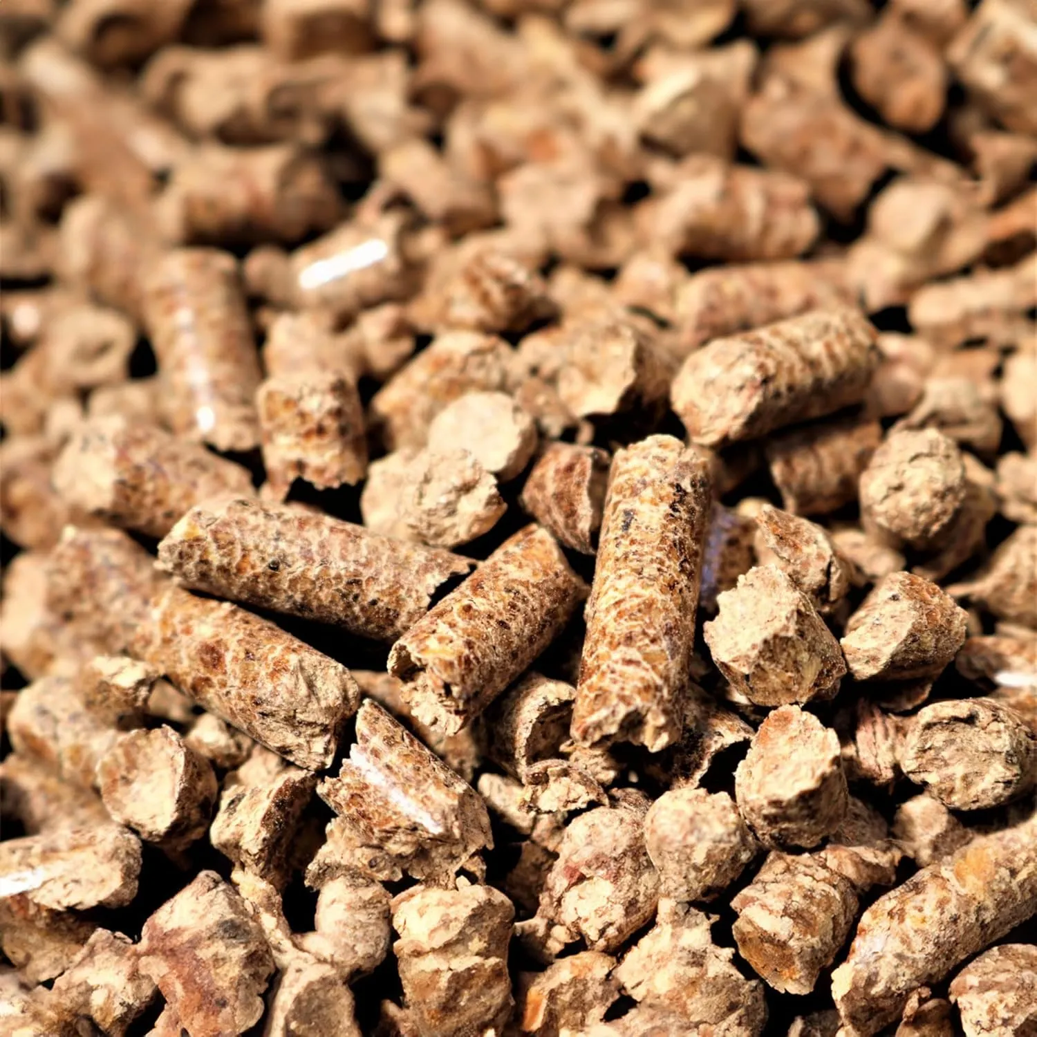 Bear Mountain 2-Pack All Natural Wood Pellets for Smoker, Grill & BBQ, 20 Lbs, Hickory - Premium Hardwood Barbecue Pellets for Indoor and Outdoor Grilling