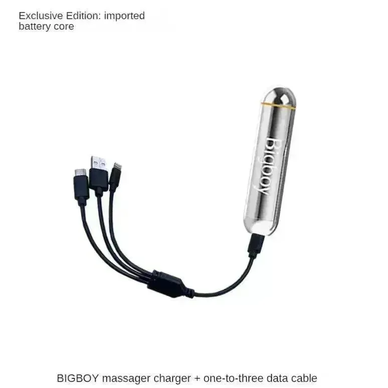 BIG BOY Vibrating Massager Power Bank