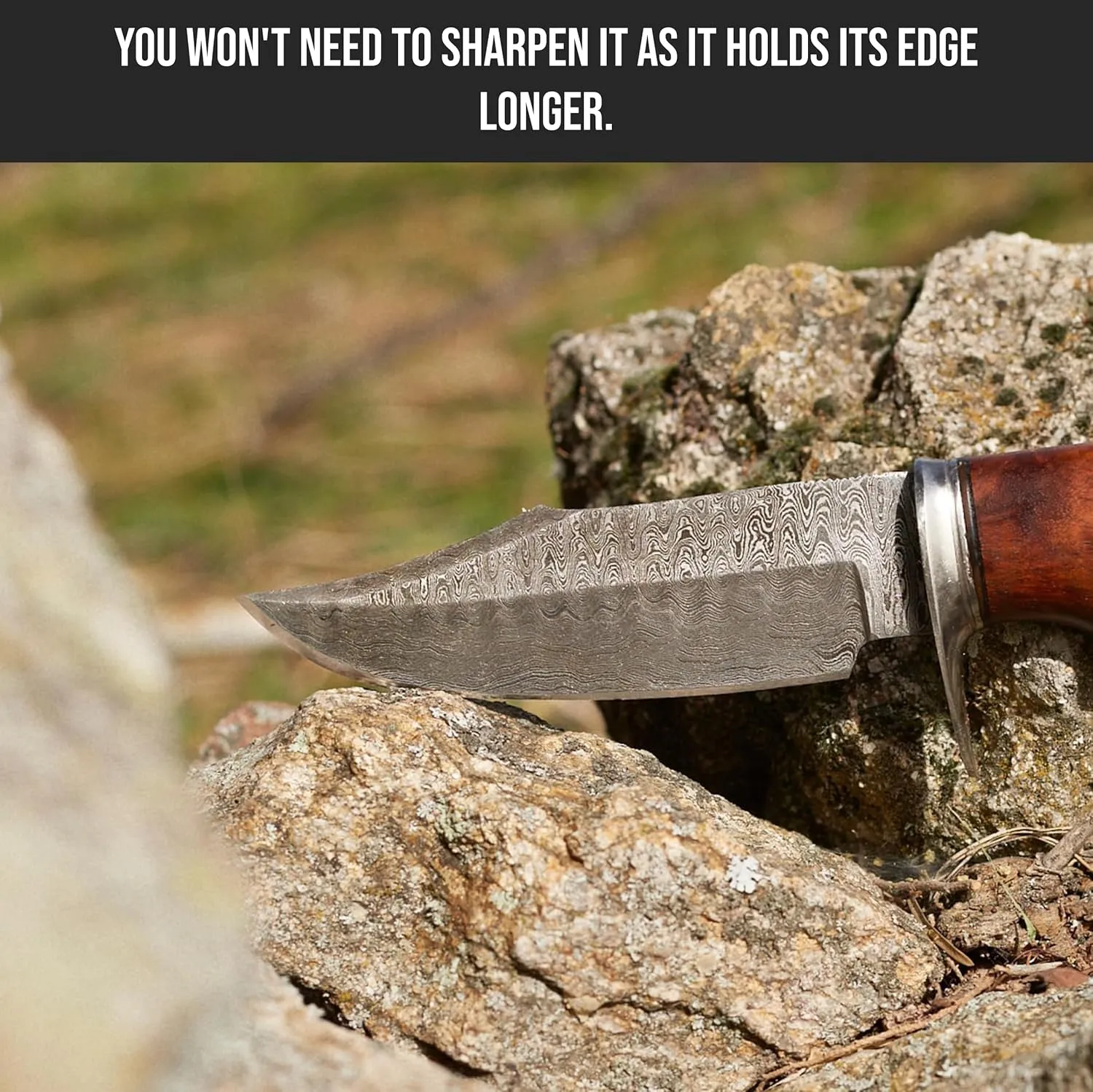 BIGCAT ROAR Handmade Damascus Camping Knife - Bushcraft Fixed Blade Outdoor Knife with Sheath and Walnut Wood Handle - 10″ EDC Skinning Knife - Bear Hunter