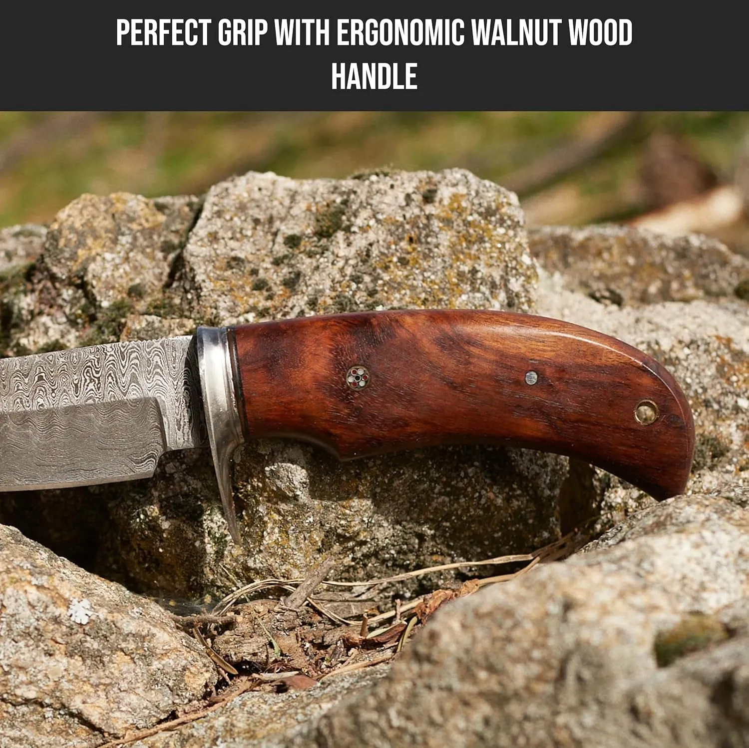 BIGCAT ROAR Handmade Damascus Camping Knife - Bushcraft Fixed Blade Outdoor Knife with Sheath and Walnut Wood Handle - 10″ EDC Skinning Knife - Bear Hunter
