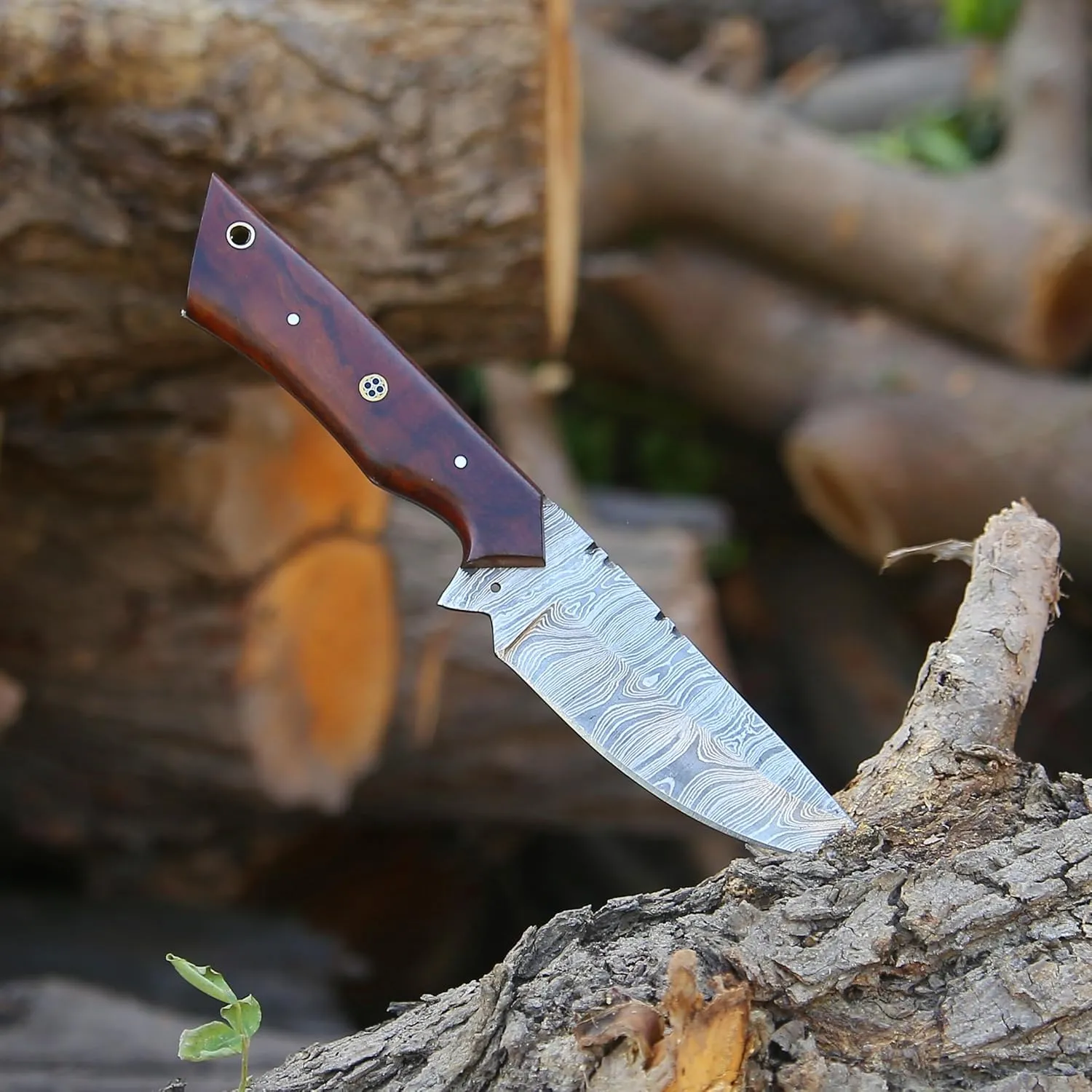 Custom Handmade Damascus Fixed Blade,Full Tang Hunting Knives With Leather Sheath (Gift) For Outdoor Camping. (Rose Wood Handle), PCL-0078