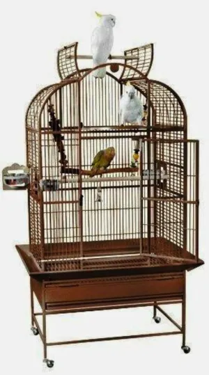 King’s Cages Superior Powder Coated Parrot Cage - 32" W x 23" D x 64" H, 5/8" Bar Spacing, 110 Lbs - Secure & Spacious (COPPERTONE)