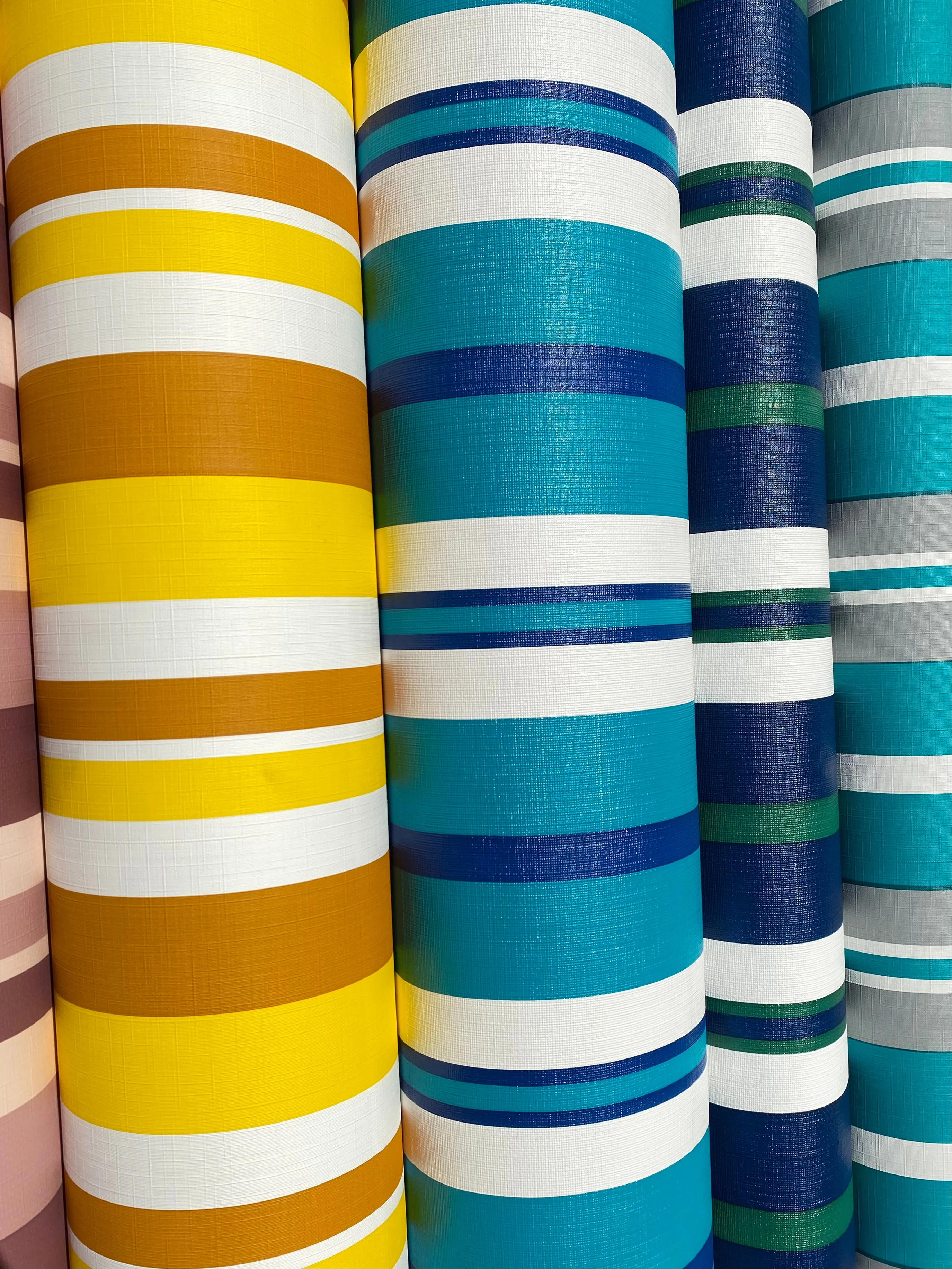 Mustard, Yellow, White Stripe