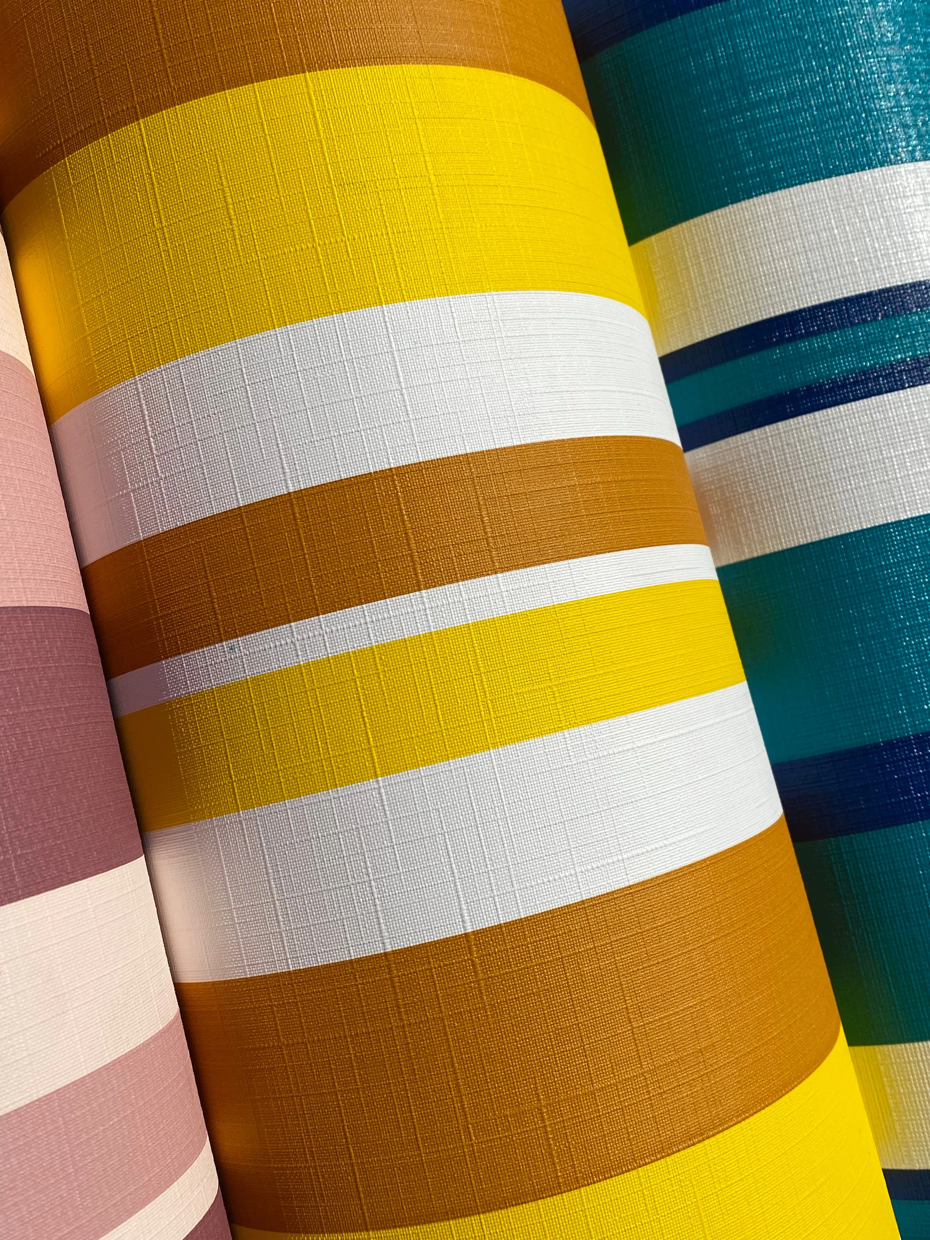 Mustard, Yellow, White Stripe