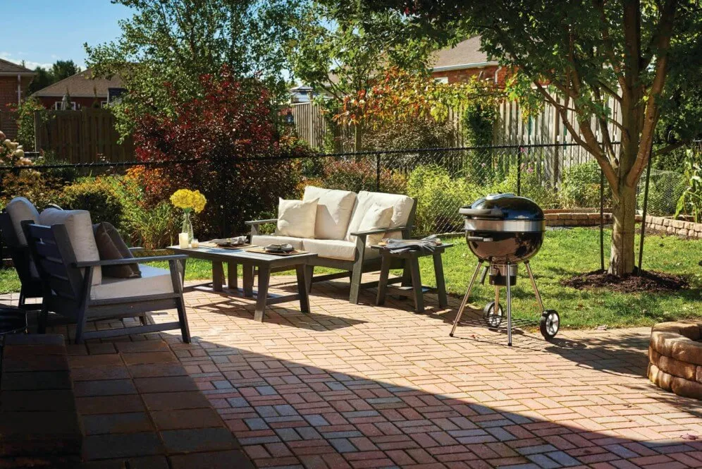 Napoleon Pro Charcoal Kettle Grill PRO22K-LEG-2