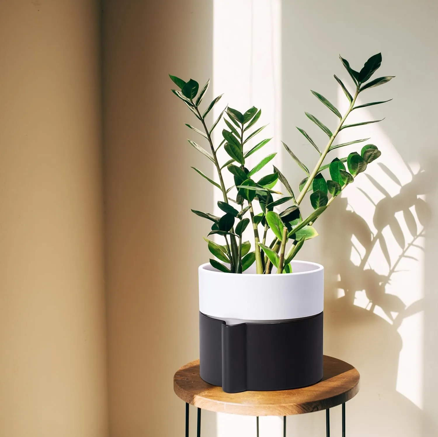 Phoenix Vine 6.5 Inch Self-Watering Planter Pot with Terracotta Insert, Deep Water Reservoir, and Ceramic-Alike BPA-Free Plastic Pot for Plant, Modern Planter for Houseplants, Black/White, 53-C-S-7