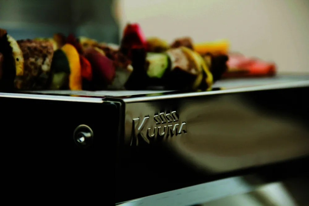 Profile 1400 SS Grill