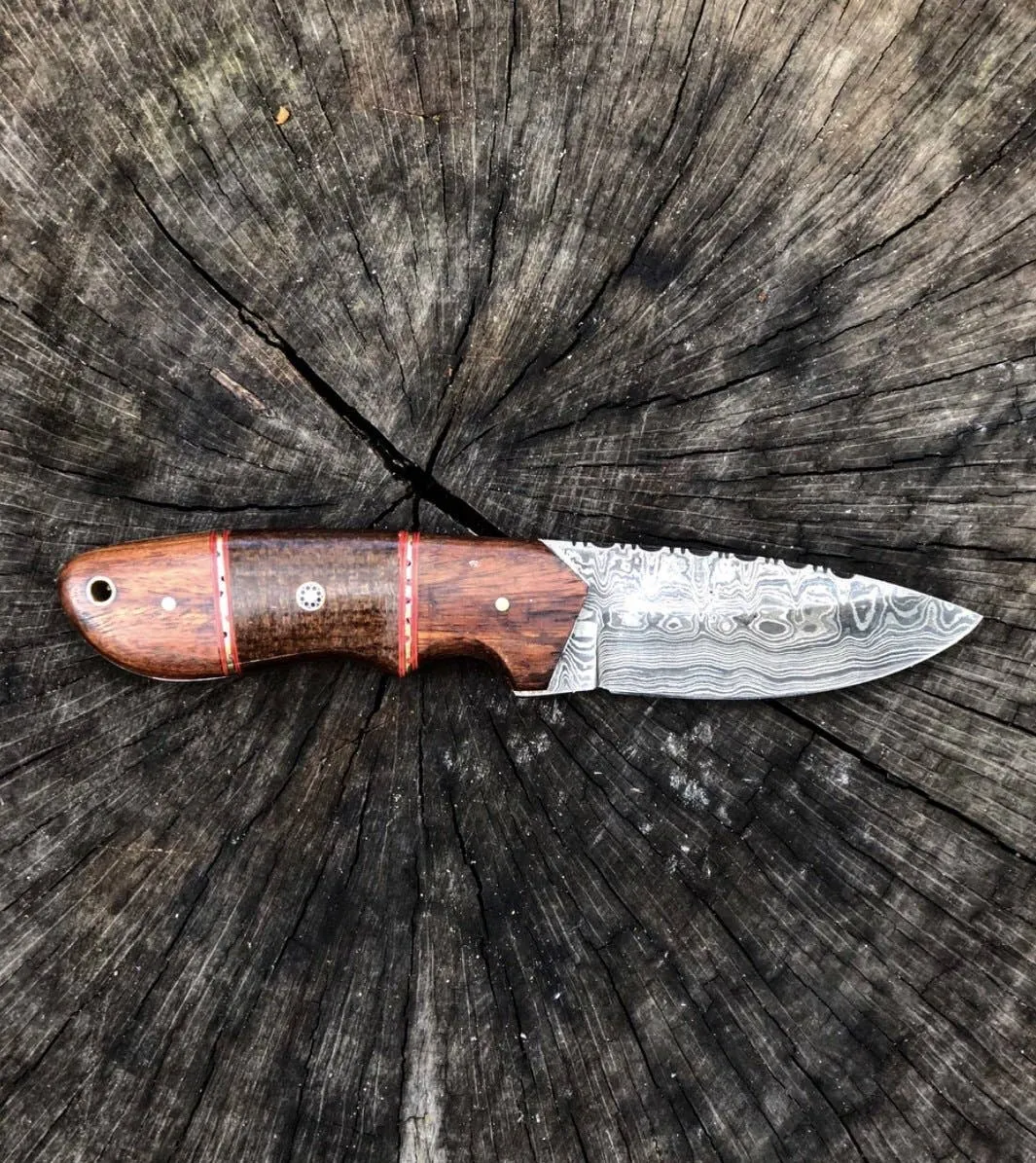 Rosewood Fixed Blade- VG26
