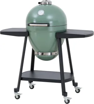 Sunjoy Charcoal Grill 20-Inch Kamado Grill Outdoor Egg Grill with Pizza Stone, Ultimate BBQ Grill and Smoker with Wheels, Green