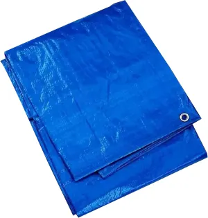 Tarps Now 6x16 ft Heavy Duty Plastic Tarp (Poly Tarp) | 6 MIL Waterproof Cover | Rip & Tear-Resistant | Rustproof Grommets & Reinforced Edges | Ideal for Roofing, Camping & Tent - Blue