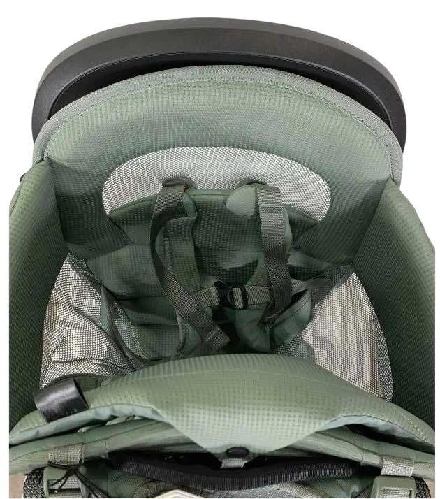 Thule Sapling Child Carrier, Agave