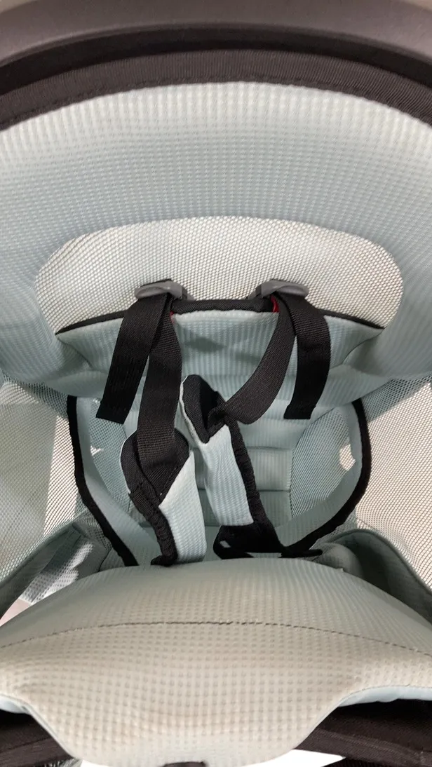 Thule Sapling Child Carrier, Alaska Blue